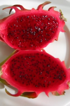 Dragonfruit Serendipity